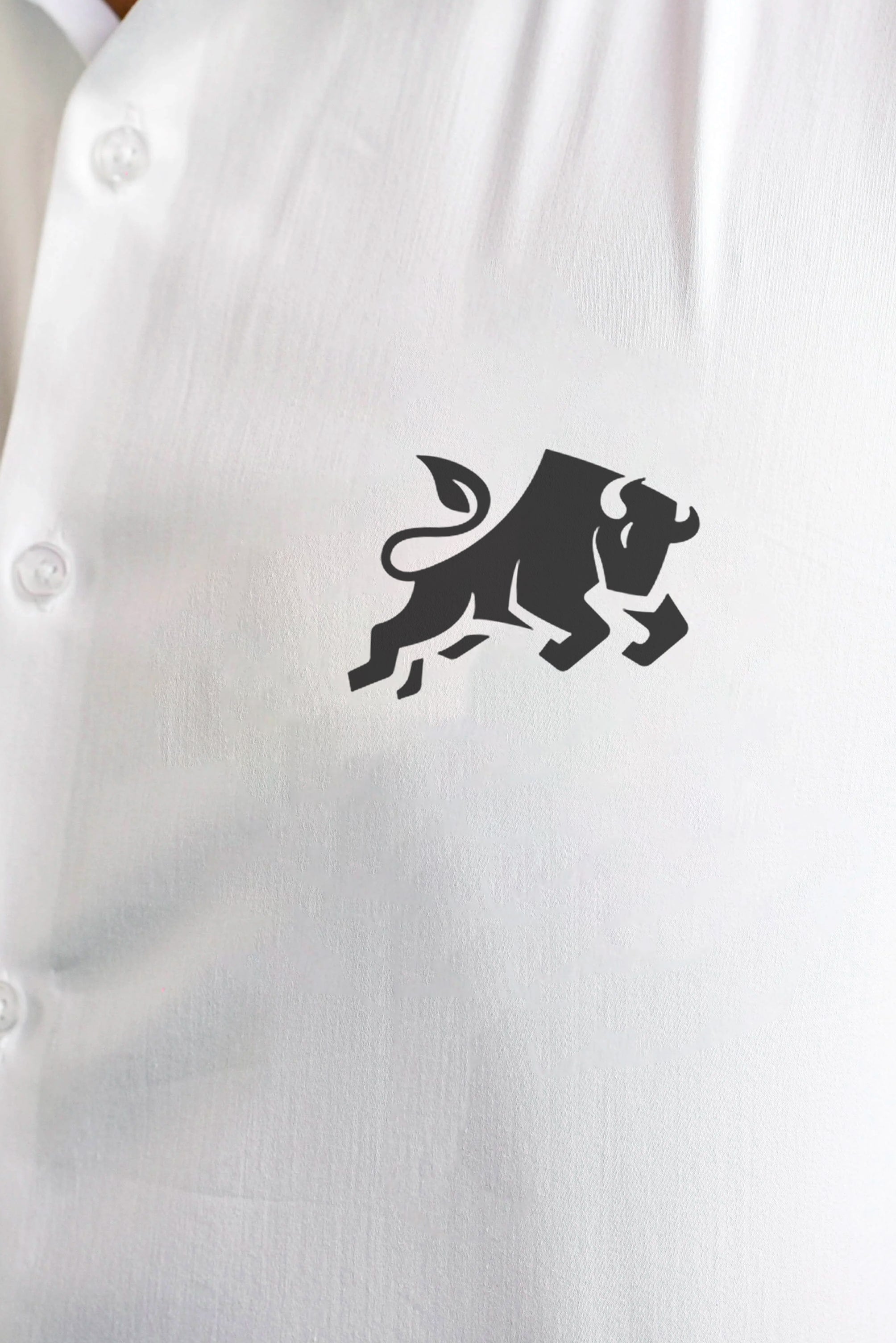 Bison Handpainted Shirt